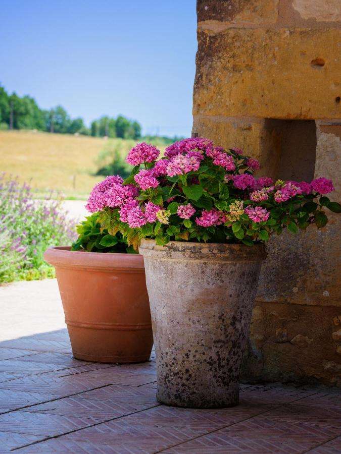 Le Nid De Faucons Villa Lalinde Екстериор снимка